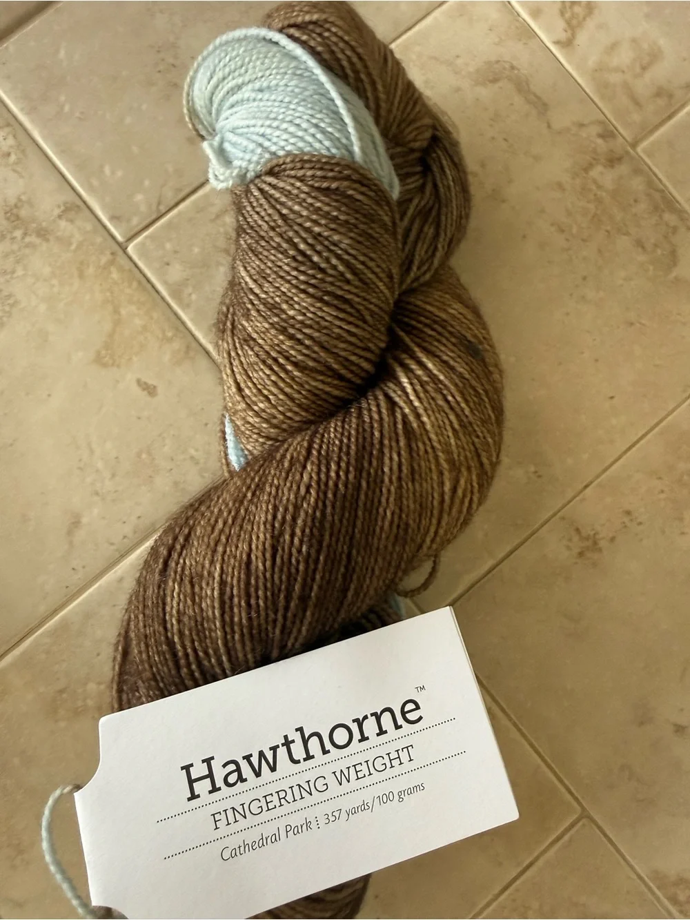 Hawthorne Brown & Light Blue Fingering Weight Yarn - Cathedral